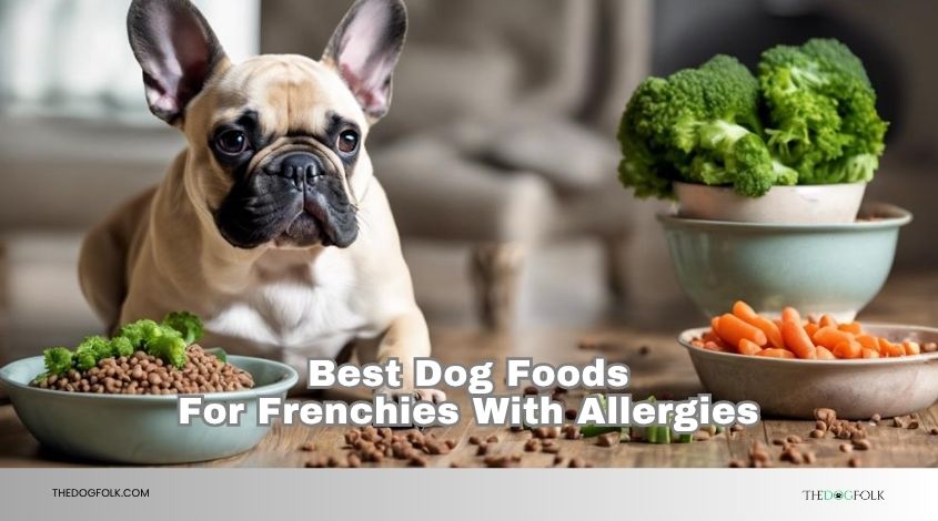 best dog foods for frenchies with allergies