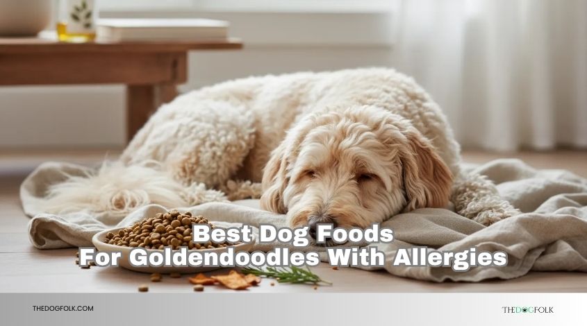 best dog foods for goldendoodles with allergies