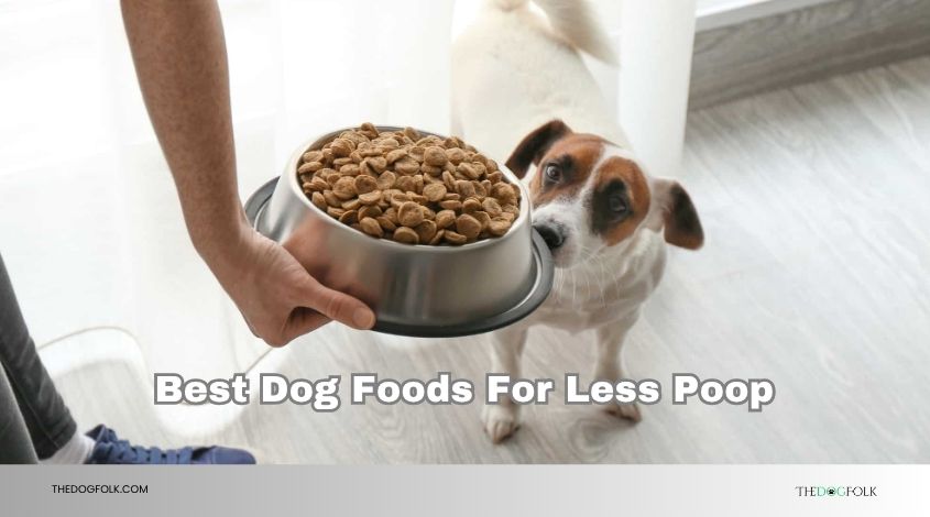 best dog foods for less poop