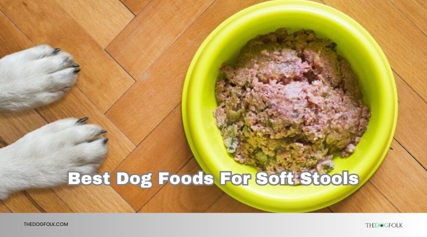 best dog foods for soft stools