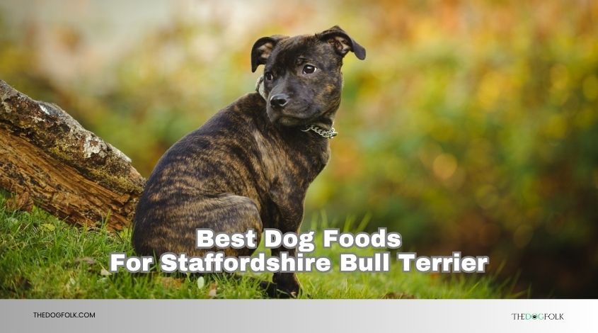 best dog foods for staffordshire bull terrier