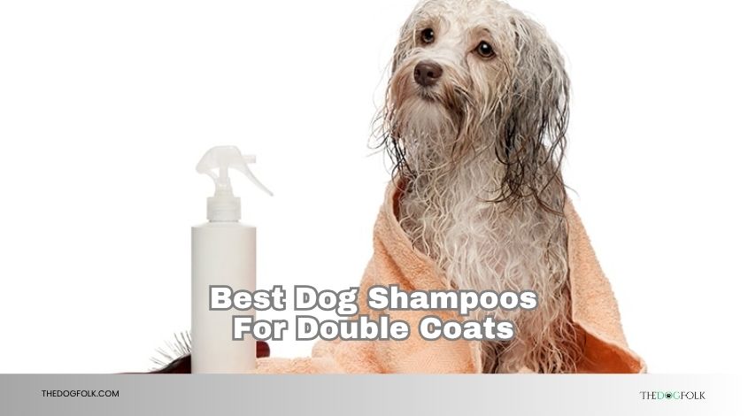 best dog shampoos for double coats