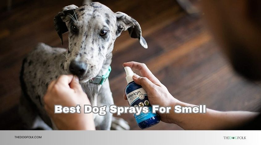 best dog sprays for smell