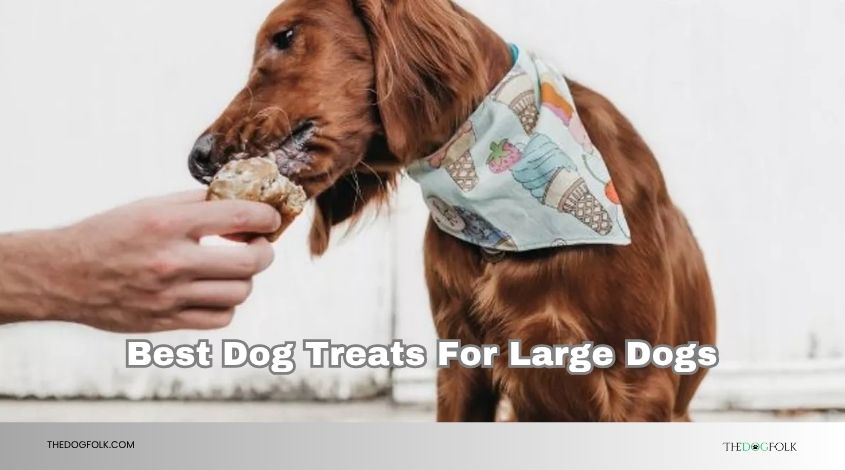 best dog treats for large dogs