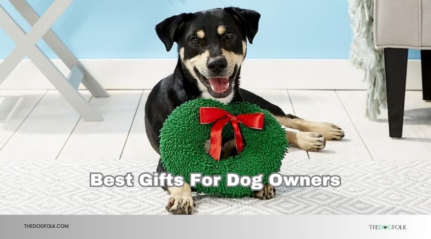 best gifts for dog owners