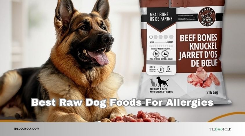 best raw dog foods for allergies