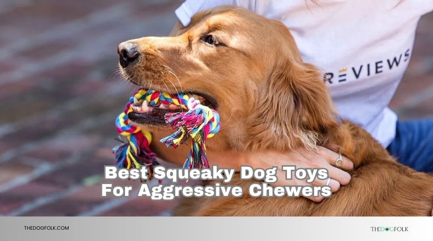best squeaky dog toys for aggressive chewers