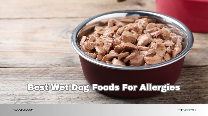 best wet dog foods for allergies