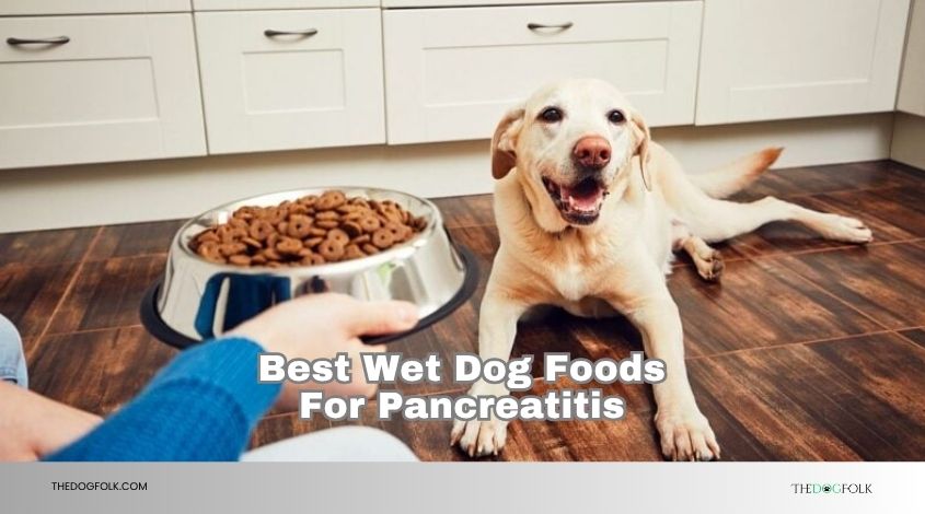 best wet dog foods for pancreatitis