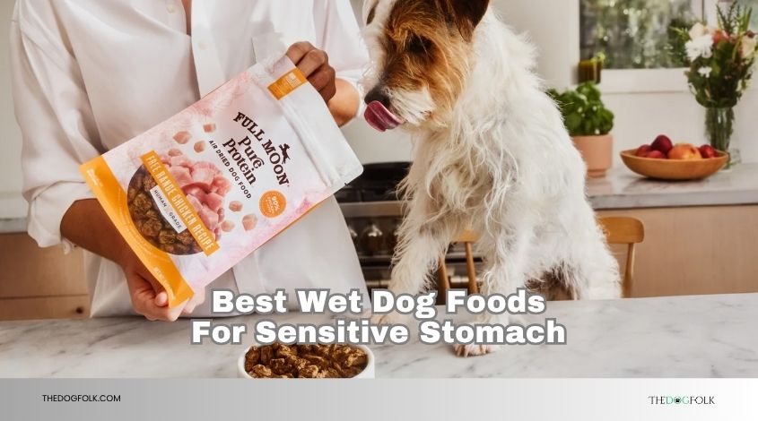 best wet dog foods for sensitive stomach