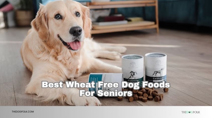 best wheat free dog foods for seniors