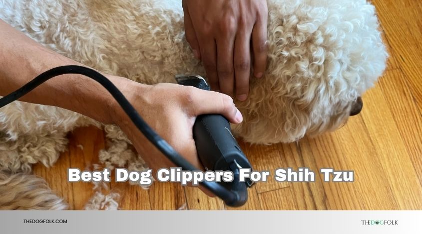 best dog clippers for shih tzu