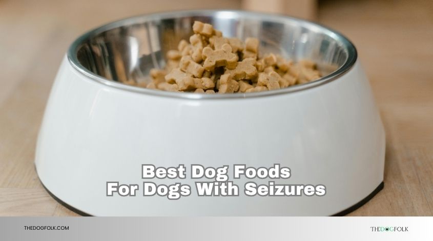 best dog foods for dogs with seizures