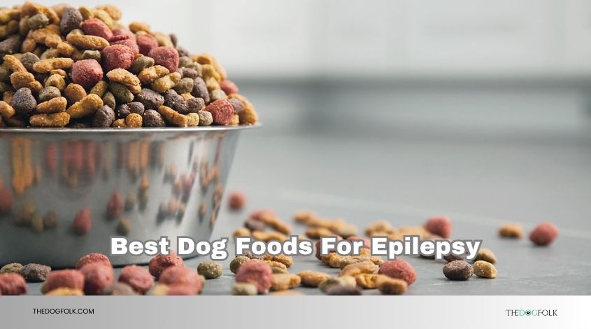 best dog foods for epilepsy