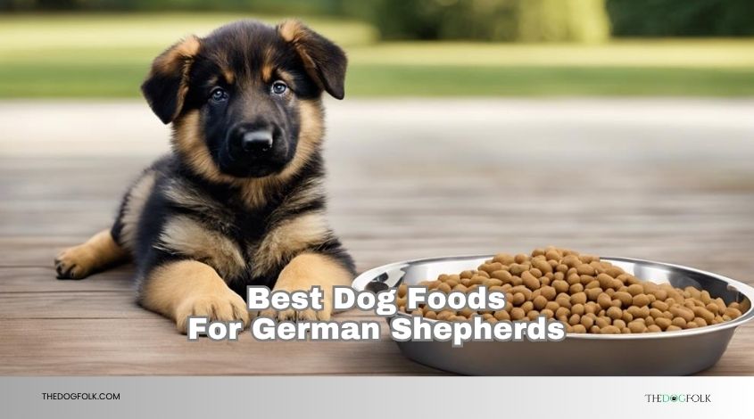 best dog foods for german shepherds