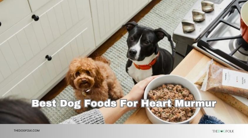 best dog foods for heart murmur