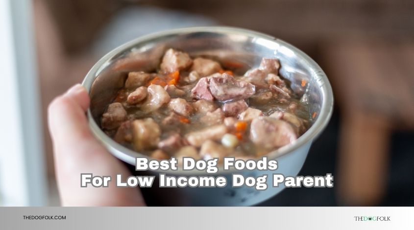 best dog foods for low income dog parent
