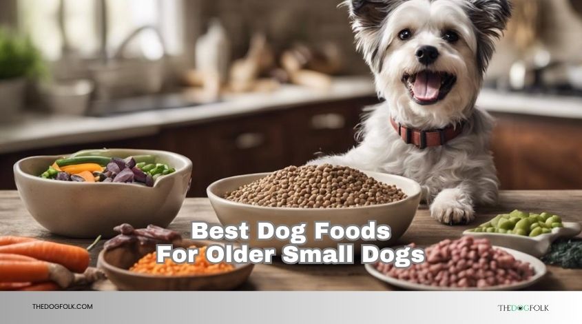 best dog foods for older small dogs
