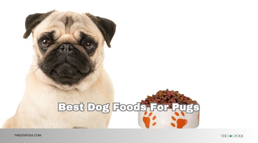 best dog foods for pugs