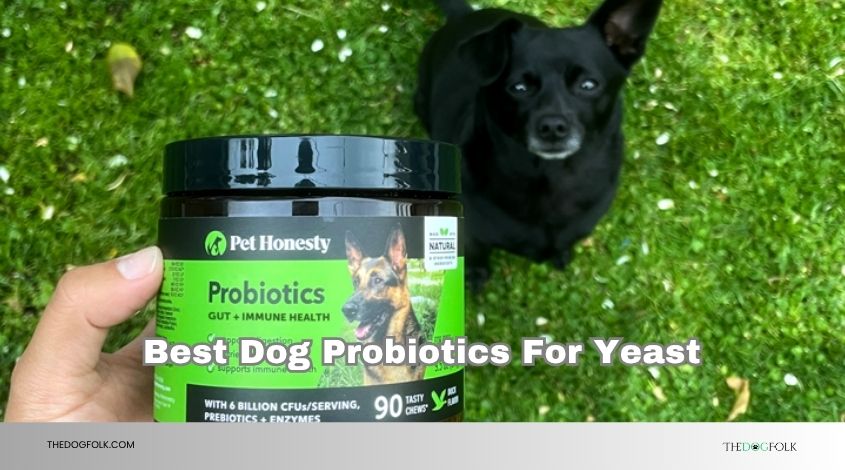 best dog probiotics for yeast