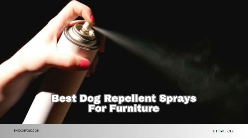 best dog repellent sprays for furniture