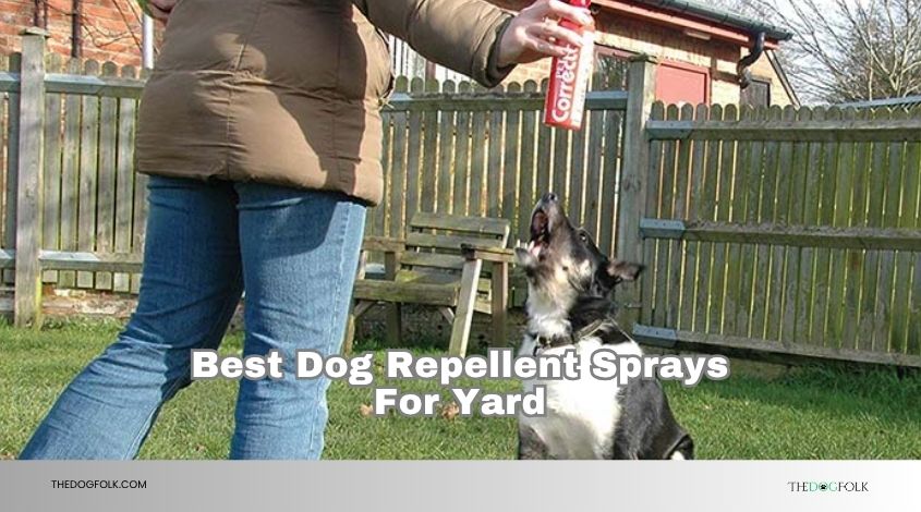 best dog repellent sprays for yard