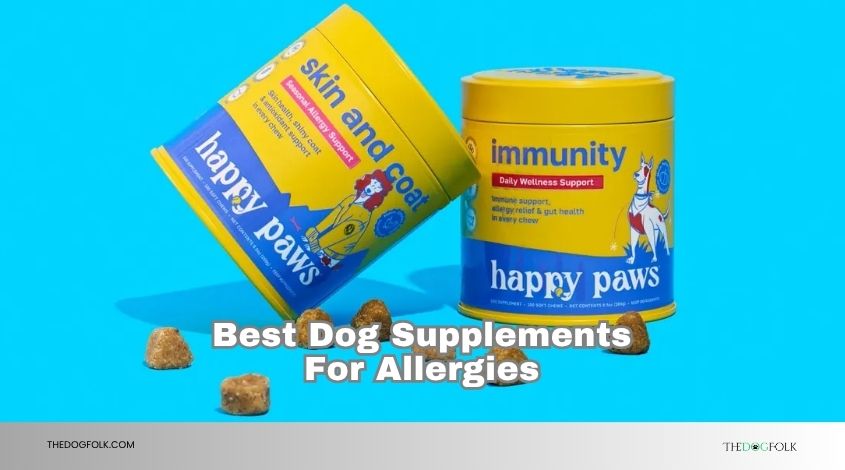 best dog supplements for allergies