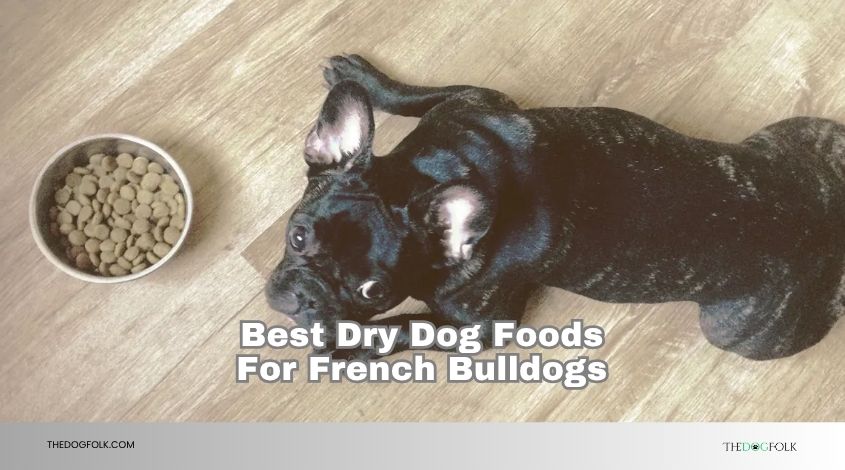 best dry dog foods for french bulldogs