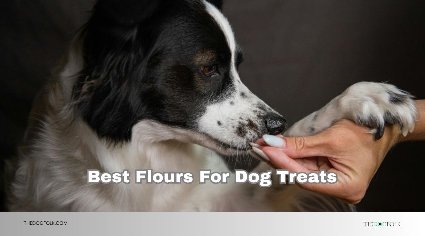 best flours for dog treats