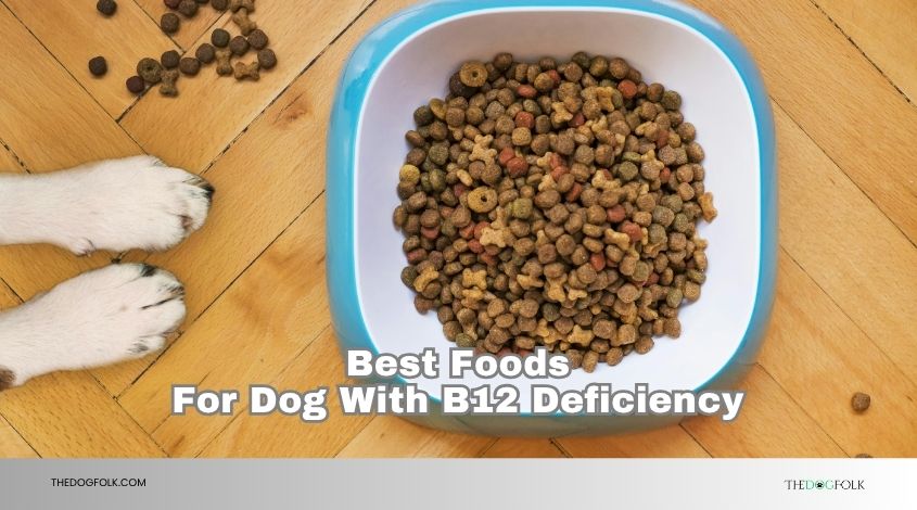 best foods for dog with b12 deficiency