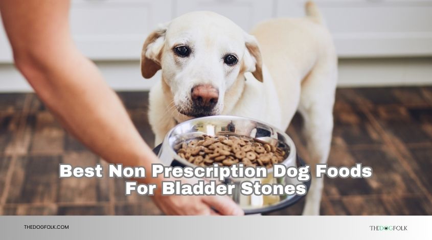 best non prescription dog foods for bladder stones