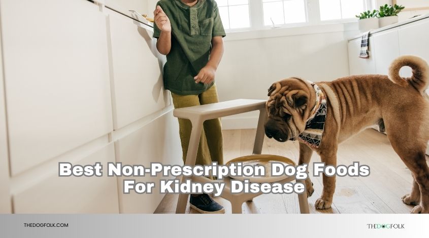 best non-prescription dog foods for kidney disease