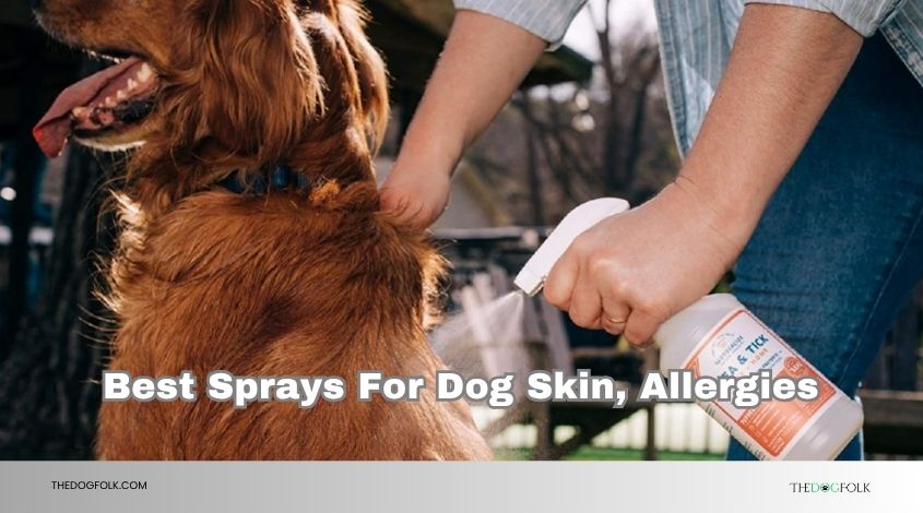 best sprays for dog skin, allergies