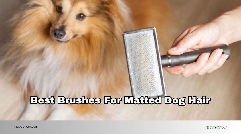 best brushes for matted dog hair