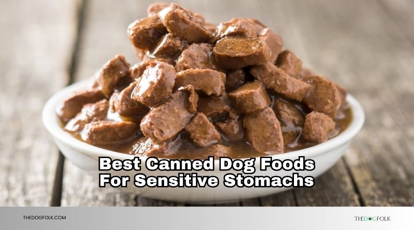 best canned dog foods for sensitive stomachs