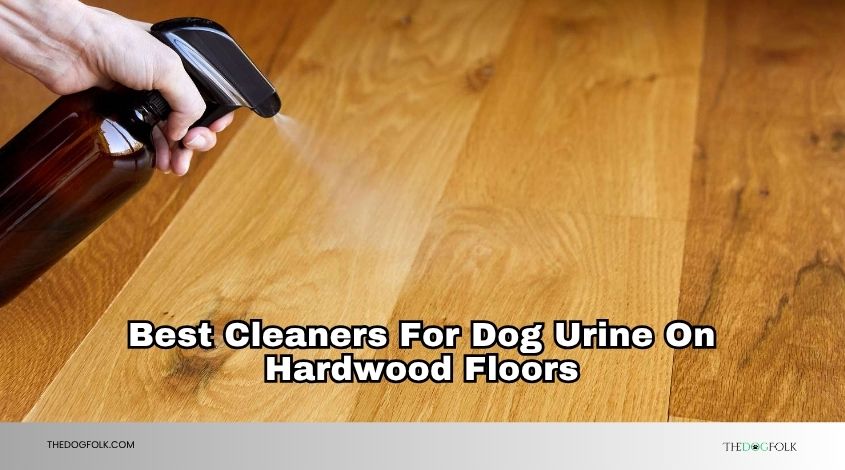 best cleaners for dog urine on hardwood floors