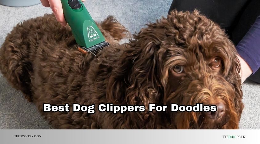 best dog clippers for doodles