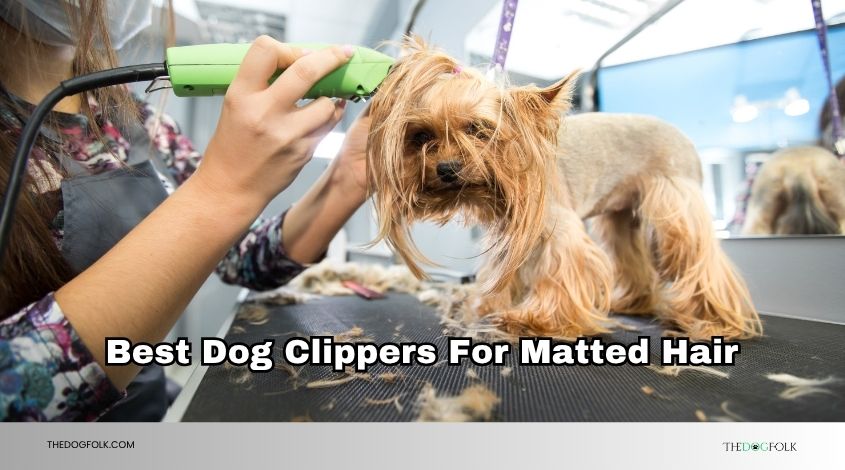 best dog clippers for matted hair