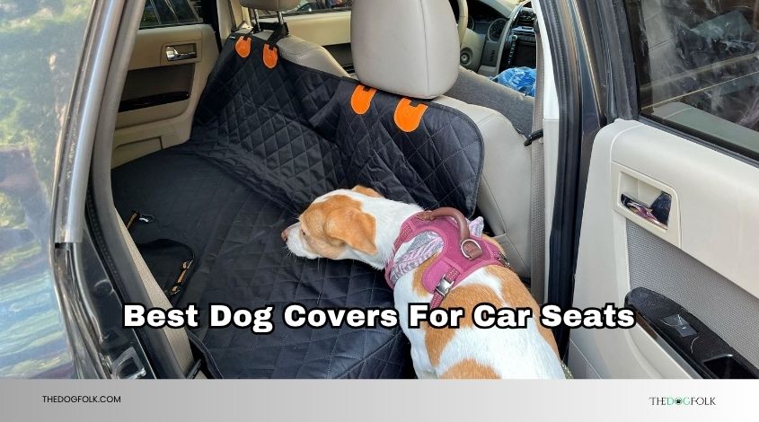 best dog covers for car seats