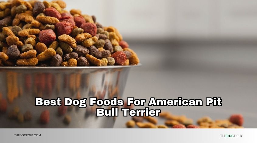 best dog foods for american pit bull terrier