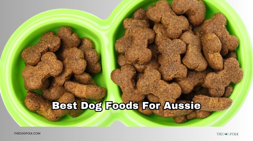 best dog foods for aussie