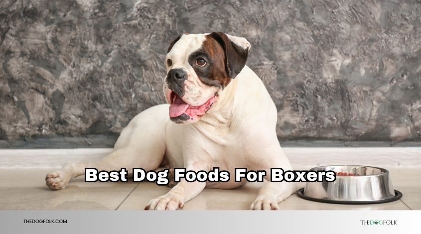 best dog foods for boxers