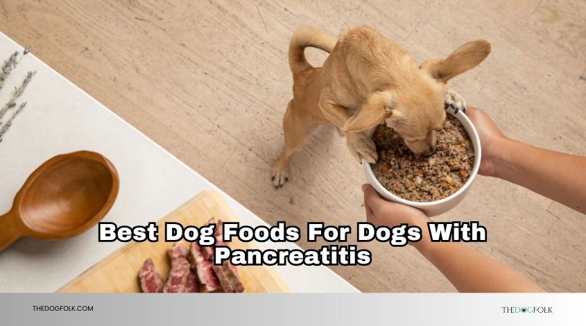 best dog foods for dogs with pancreatitis