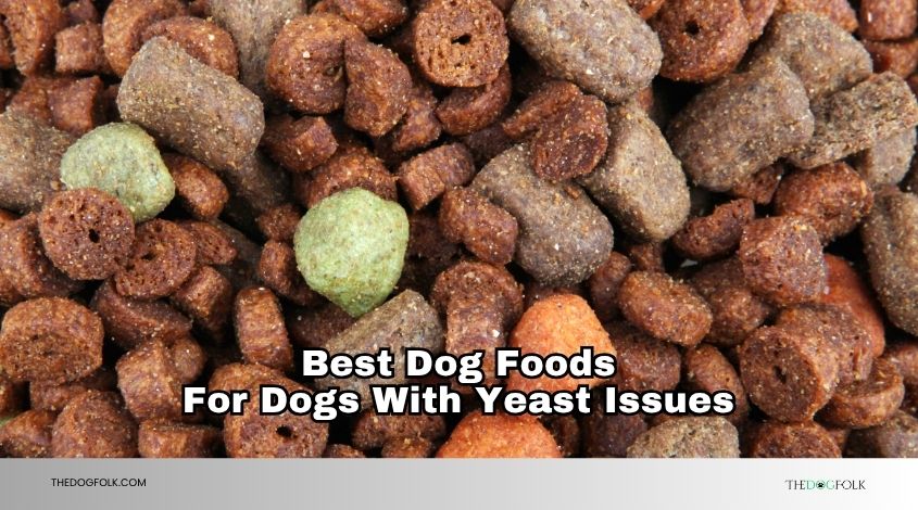 best dog foods for dogs with yeast issues