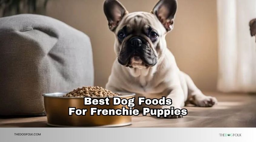 best dog foods for frenchie puppies