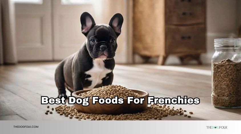 best dog foods for frenchies