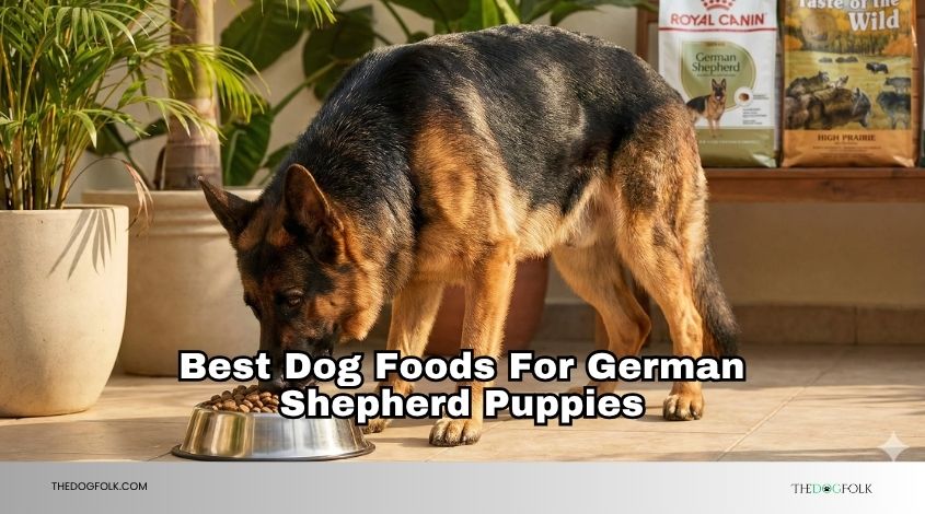 best dog foods for german shepherd puppies