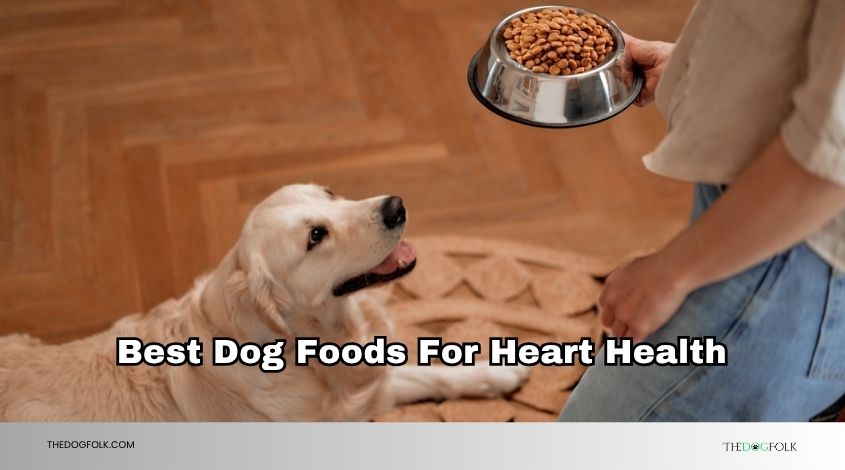 best dog foods for heart health