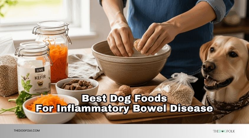 best dog foods for inflammatory bowel disease