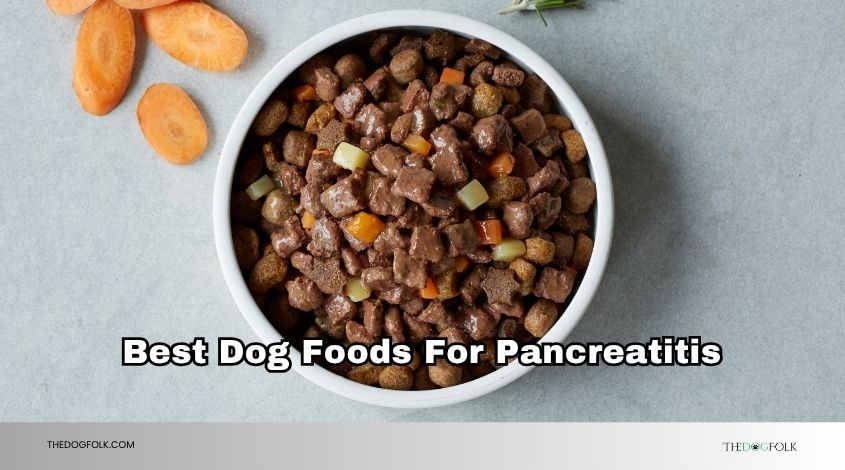 best dog foods for pancreatitis